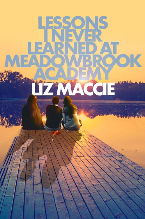 Lessons I Never Learned at Meadowbrook Academy (Small)