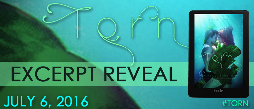 Torn Excerpt Reveal Banner_edited-1