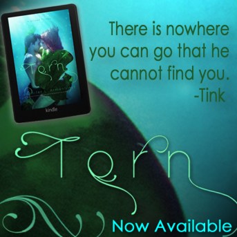 Torn Teaser 1_Available.jpg